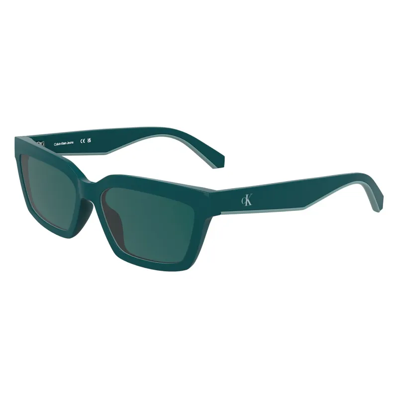 Calvin Klein Jeans CKJ25604S coloris 432